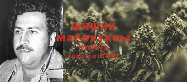 молекула духа Семилуки